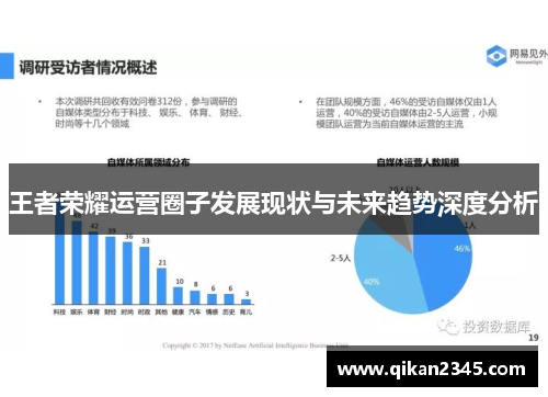 王者荣耀运营圈子发展现状与未来趋势深度分析